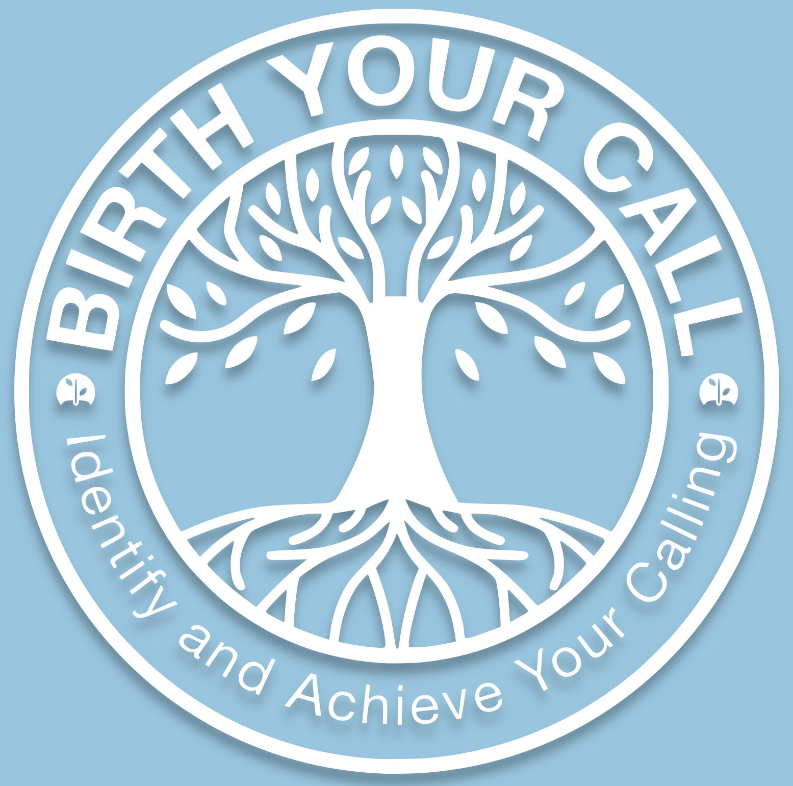 Birth Your Call Ministry